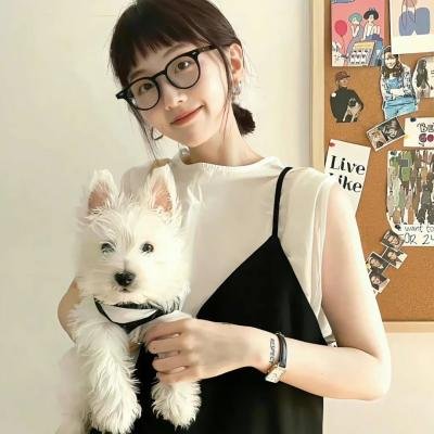 贝尔斯通之狐